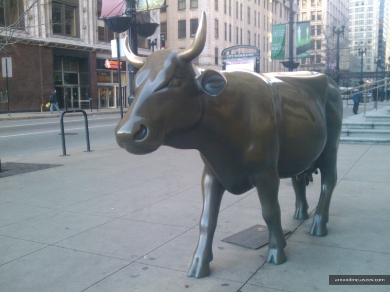 Chicago Bull. Cow Actually