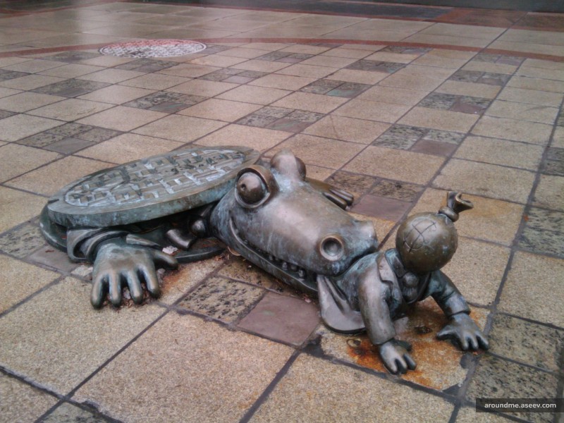 Croc
