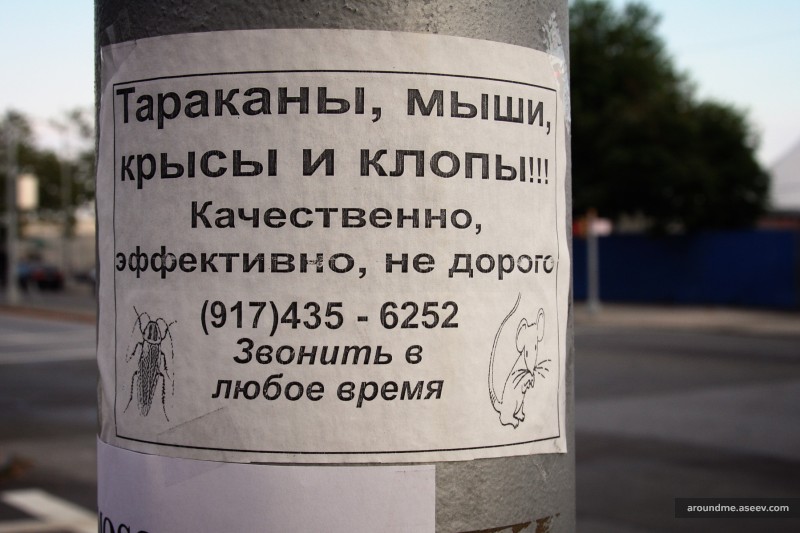 Кому качественных крыс и клопов?