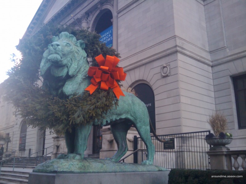 Lions in Chicago are ready for Christmas
