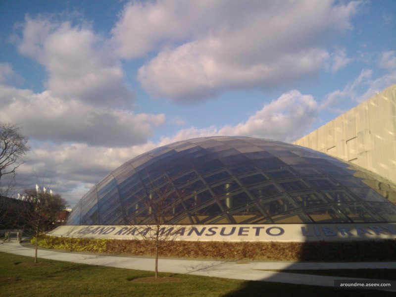 Joe and Rika Mansueto Library