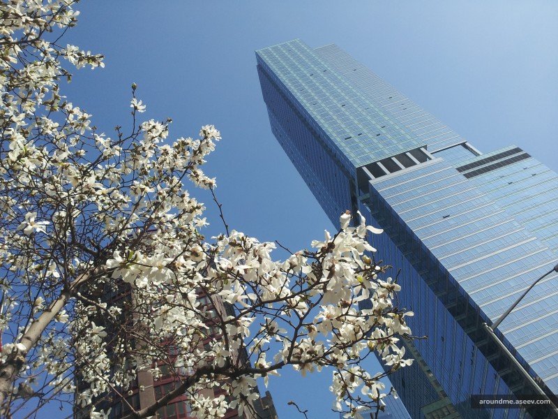 Spring is in New York