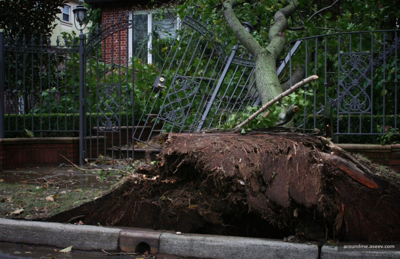 Hurricane Sandy: Knock-Knock