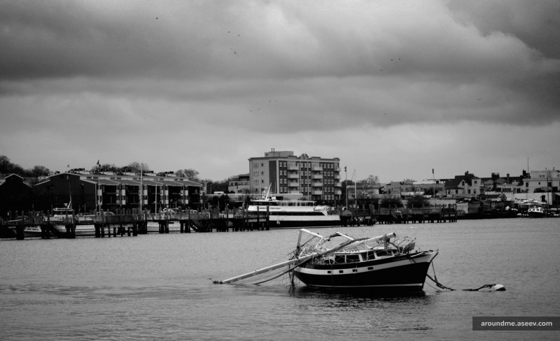 Hurricane Sandy: Still Afloat